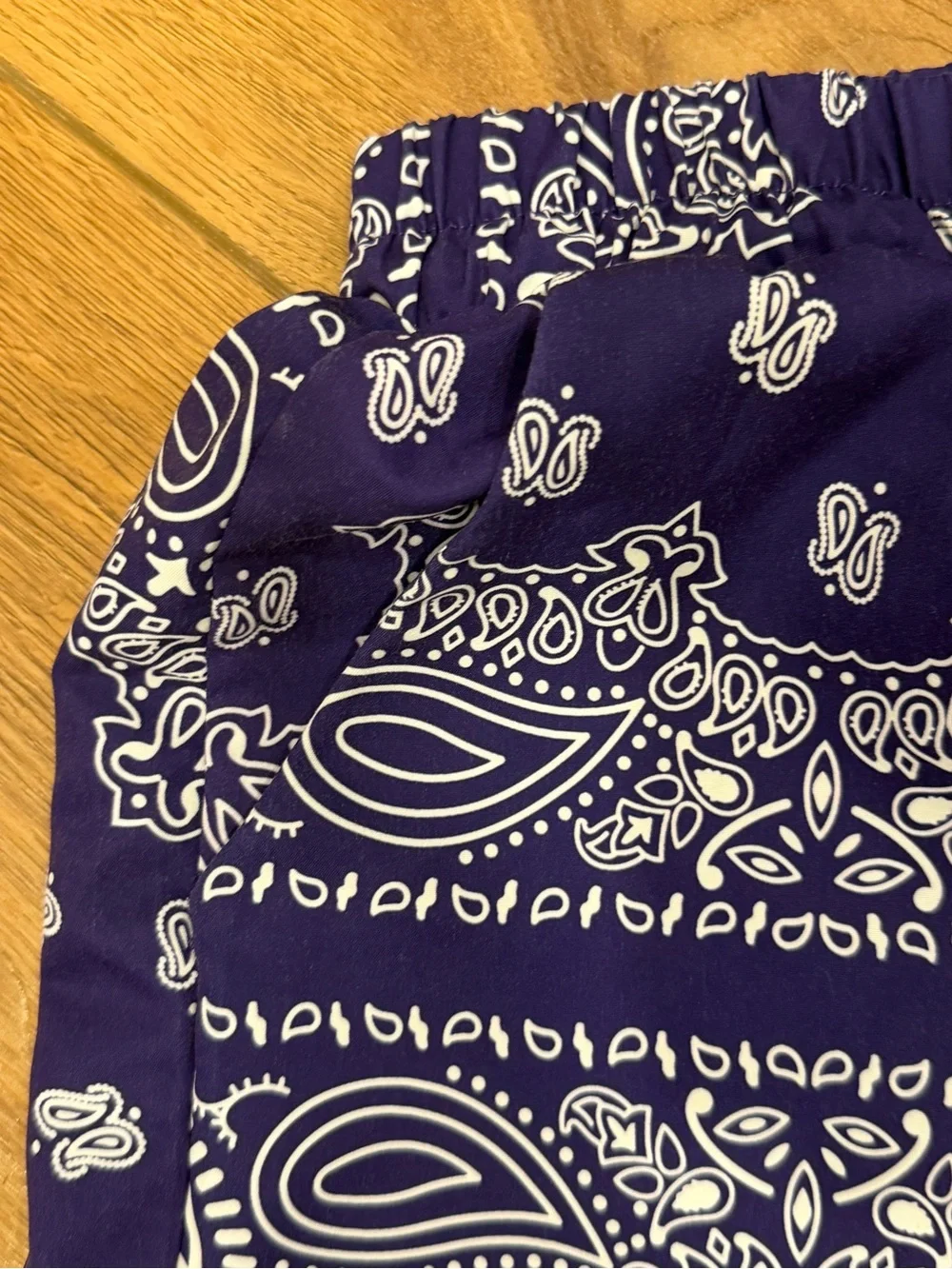 Men’s  Purple Bandana Print Drawstring Shorts